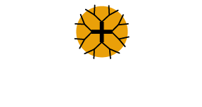 default-logo